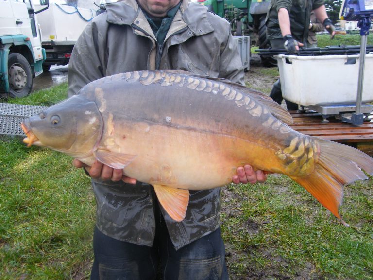 french carp lake fishing