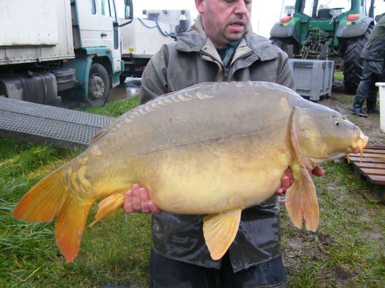 carp fishing Adilly