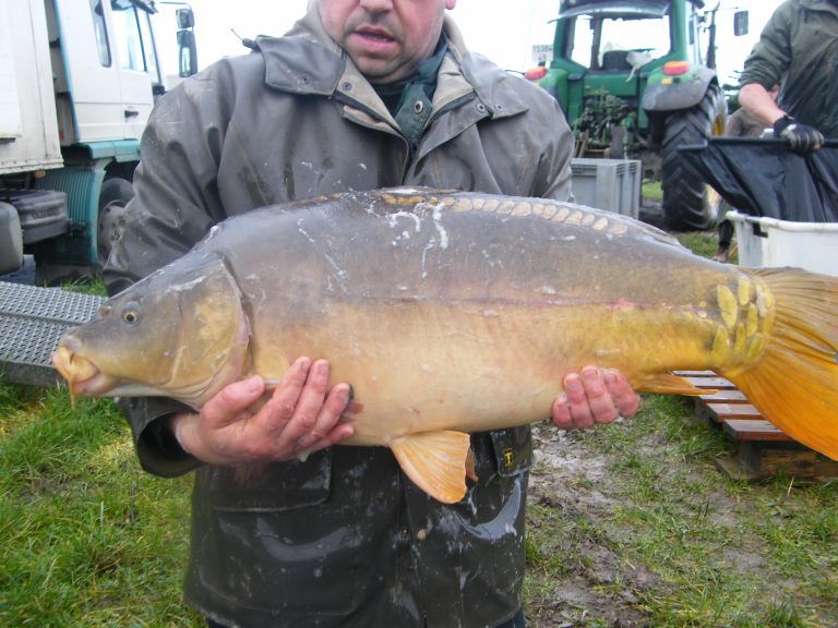 quarry bank carp pool france