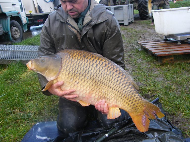 carp fishing Adilly quarry