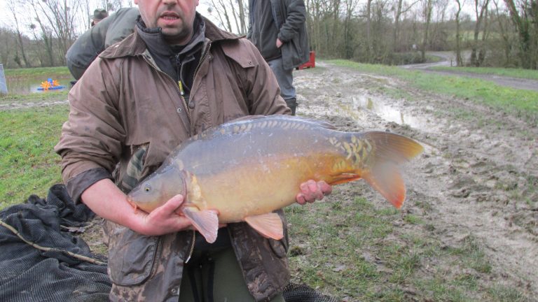 quarry bank carp pool