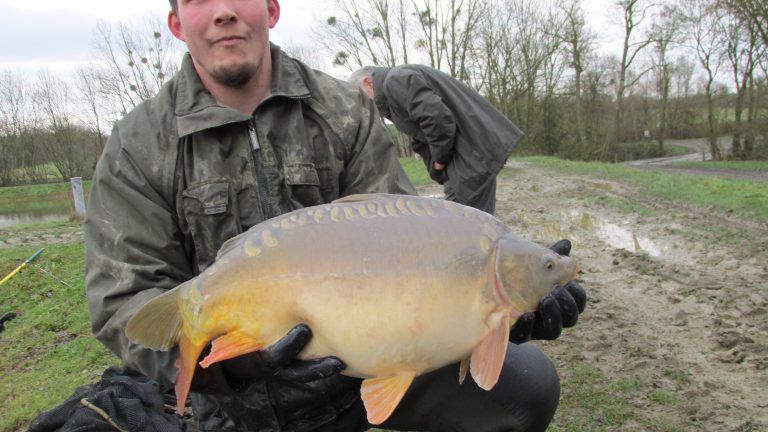 mirror carp