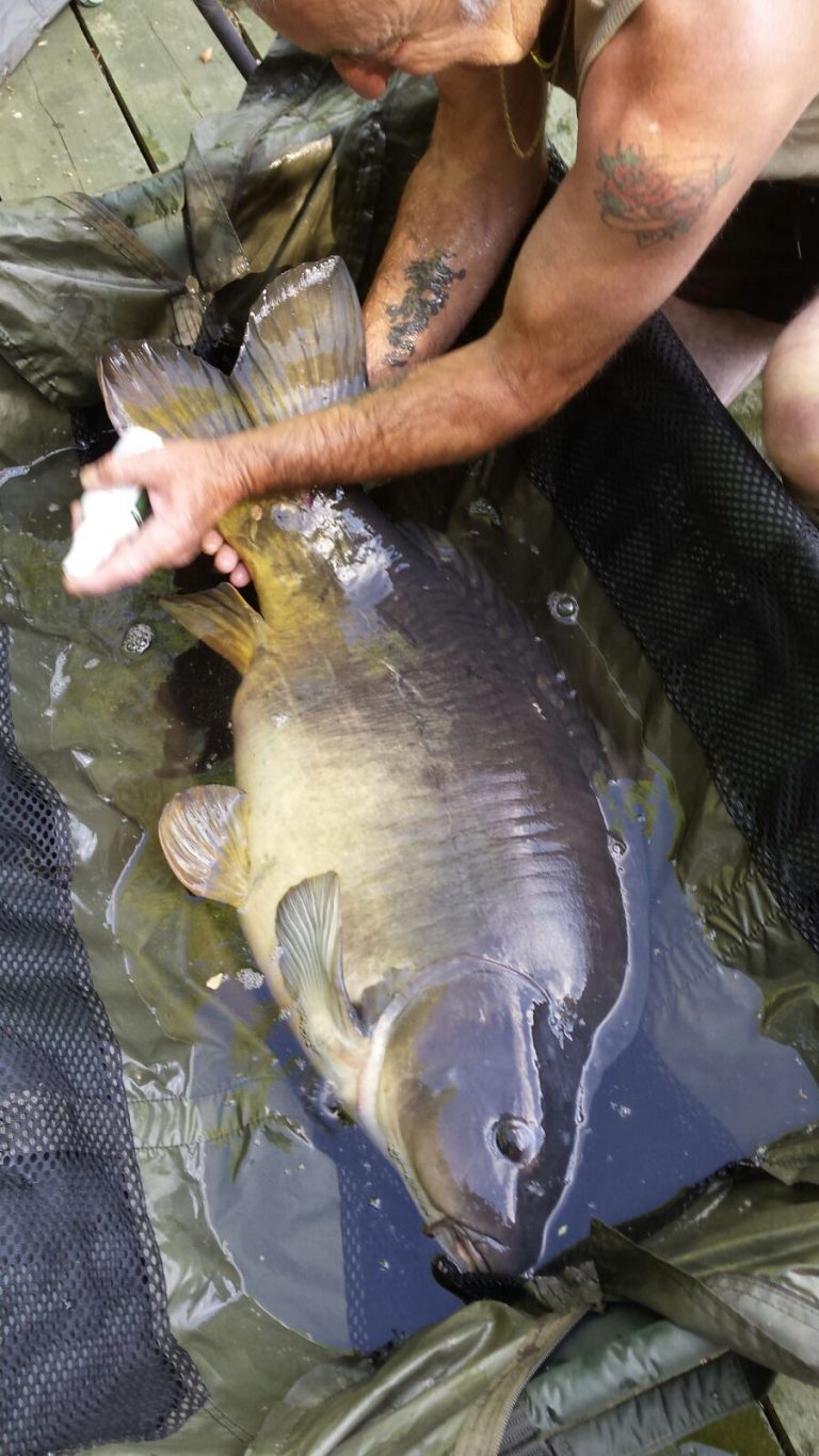 carp fishing Adilly 79