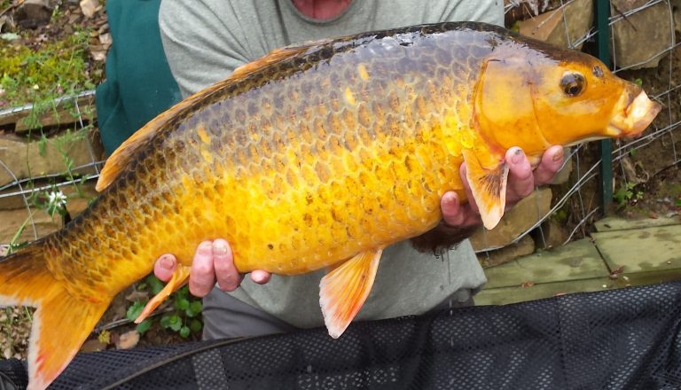 french fishing lake