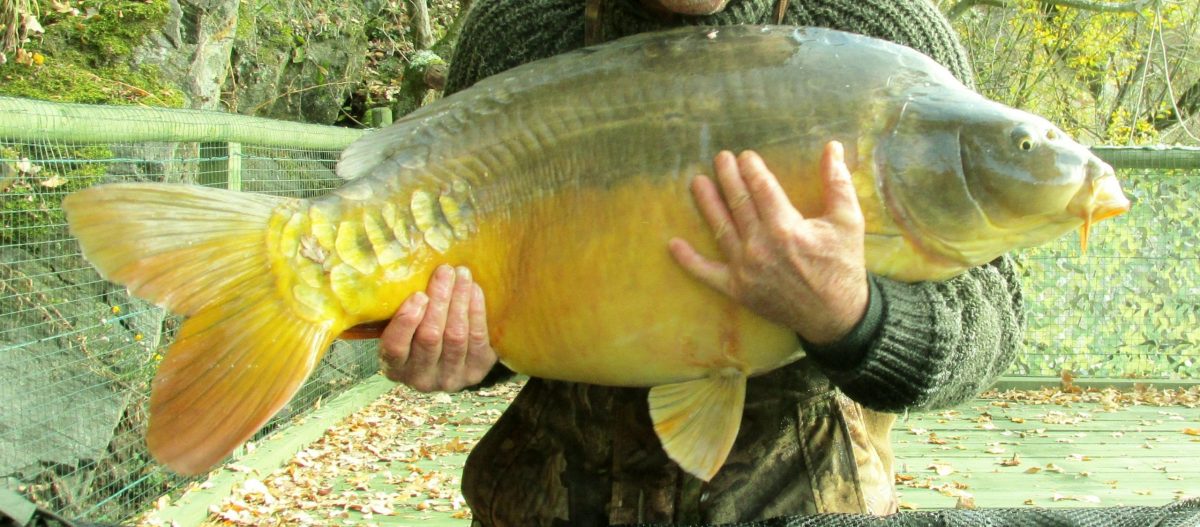 big fish in France