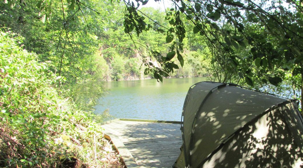 view from a carp fishing swim, the sun is shining and reflecting on the water and there is a green bivvy in the foreground